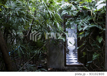 Garden toilet with surrounded by tropical plants, trees and green leaves.  Garden toilet with surrounded by tropical plants, trees and green leaves.  93102800
