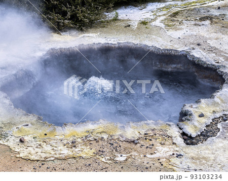 ニュージーランド・テプイア 沸き立つ熱湯池 / Te Puia, Rotorua 93103234