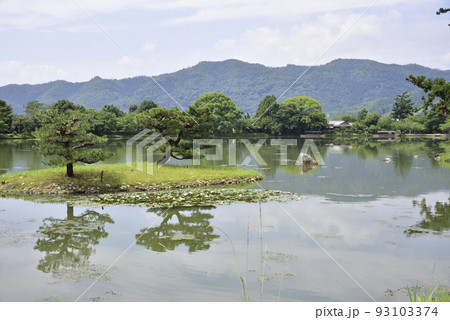 大沢池 大覚寺 大沢池 大覚寺 93103374