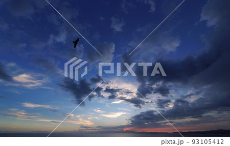 多様な雲が現れた清々しい夏の夕焼け空とトビ・超広角・空主体・220728pm 93105412