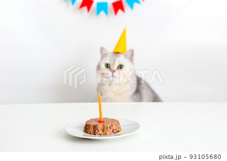 A cute white cat in a yellow paper cap sits at a white table with a canned cat cake with a candle and licks his lips. 93105680