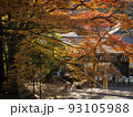 紅葉の大窪寺 93105988