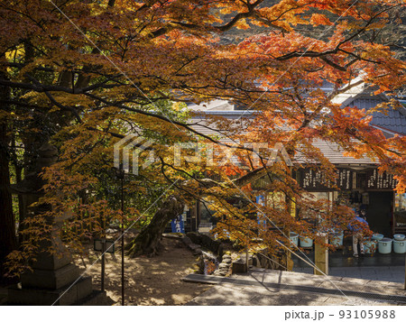 紅葉の大窪寺 紅葉の大窪寺 93105988