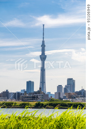 「東京都」四ツ木の荒川河川敷から眺める東京スカイツリー 93106949