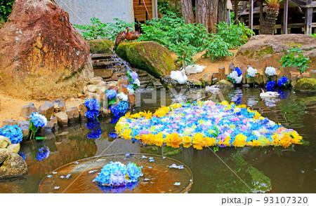 紫陽花の雨引観音境内 紫陽花の雨引観音境内 93107320