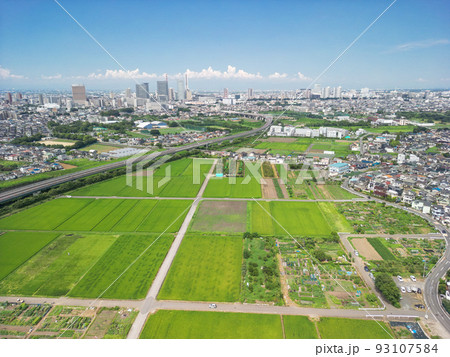 空撮「埼玉県」さいたま市 見沼田んぼと夏空 空撮「埼玉県」さいたま市 見沼田んぼと夏空 93107584