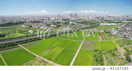 空撮「埼玉県」さいたま市　見沼田んぼと夏空 93107585