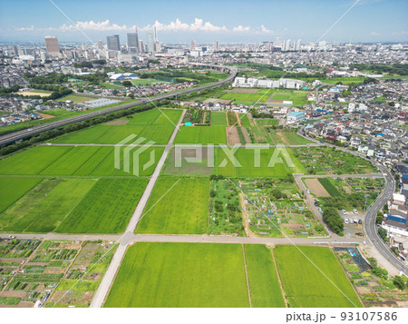 空撮「埼玉県」さいたま市 見沼田んぼと夏空 空撮「埼玉県」さいたま市 見沼田んぼと夏空 93107586