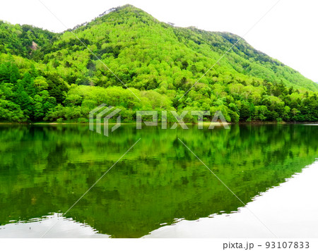 刈込湖　切込湖 93107833