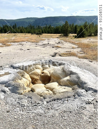 シェルスプリング　Shell Spring　ブラックビスケットベイスン　イエローストーン国立公園 93108551