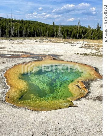 ウェストガイザー　West Geyser　ブラックビスケットベイスン　イエローストーン国立公園 93108552