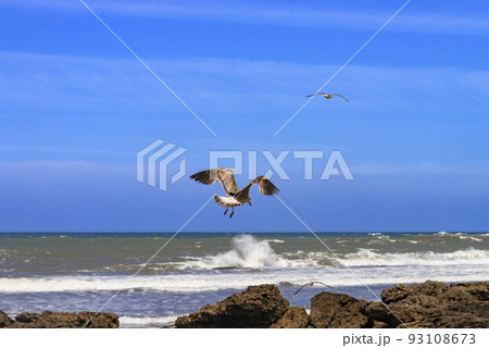 モロッコの城壁都市エッサウィラ モロッコの城壁都市エッサウィラ 93108673