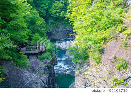 吾妻峡 ダム下展望スポット 八ッ場ダム 初夏の風景 吾妻峡 ダム下展望スポット 八ッ場ダム 初夏の風景 93108756