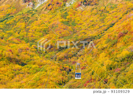 秋の立山黒部アルペンルート 錦秋の立山ロープウェイ 秋の立山黒部アルペンルート 錦秋の立山ロープウェイ 93109329