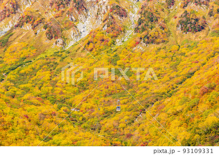 秋の立山黒部アルペンルート 錦秋の立山ロープウェイ 秋の立山黒部アルペンルート 錦秋の立山ロープウェイ 93109331