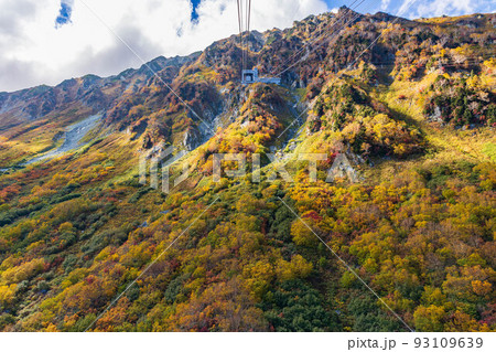 秋の立山黒部アルペンルート　立山ロープウェイからの眺望 93109639