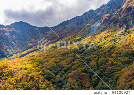 秋の立山黒部アルペンルート 立山ロープウェイからの眺望 秋の立山黒部アルペンルート 立山ロープウェイからの眺望 93109924