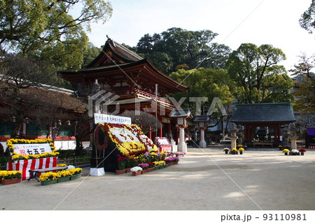 太宰府天満宮:菊花展と楼門(福岡県太宰府市) 太宰府天満宮:菊花展と楼門(福岡県太宰府市) 93110981
