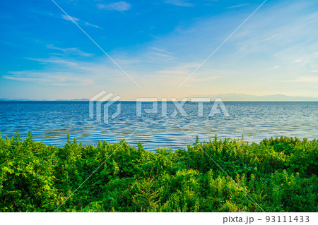 滋賀県　長浜市　琵琶湖 93111433