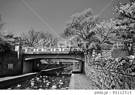 兵庫県西宮市 夙川公園の翠橋 (モノクローム) 93112513
