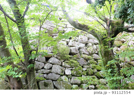 広島城 広島城 93112554