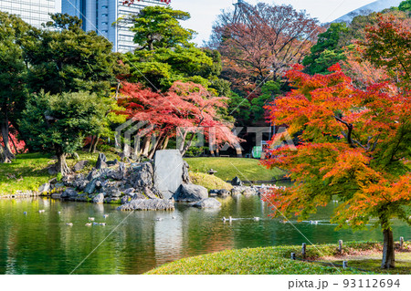 東京都 紅葉の小石川後楽園　～大泉水～ 93112694