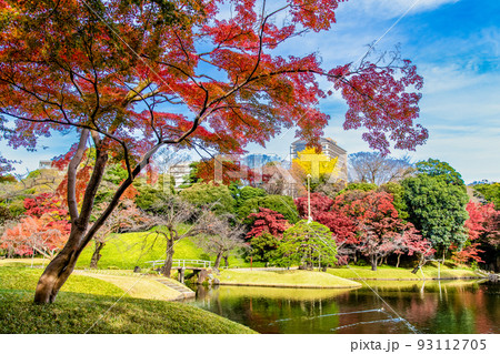 東京都 紅葉の小石川後楽園　～大泉水～ 93112705
