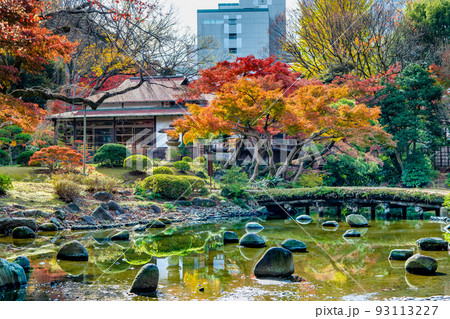 東京都 紅葉の小石川後楽園　～渡月橋と涵徳亭～ 93113227