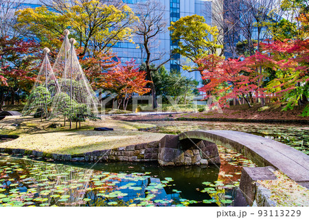 東京都 紅葉の小石川後楽園　～内庭～ 93113229