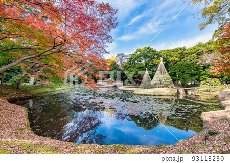 東京都 紅葉の小石川後楽園　～内庭～ 93113230