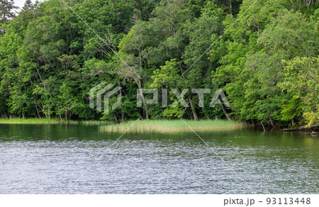湖畔の静かな風景 湖畔の静かな風景 93113448