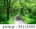 上高地　初夏のウォーキングトレイル 93115400