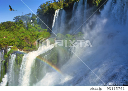 世界遺産・イグアスの滝にかかる虹 93115761