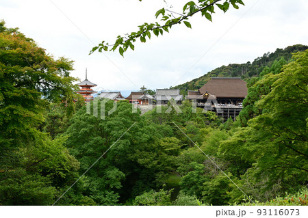 京都・清水寺 93116073