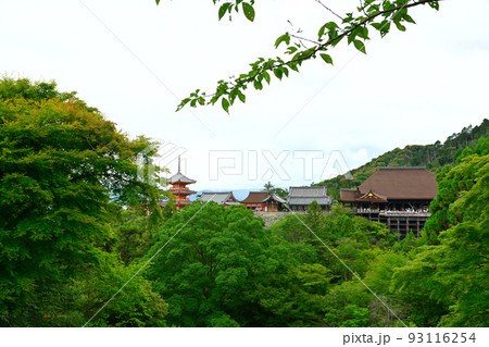 京都・清水寺 京都・清水寺 93116254