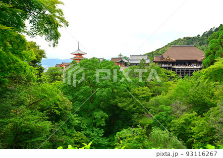 京都・清水寺 京都・清水寺 93116267
