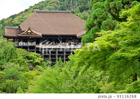京都・清水寺 93116268