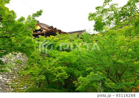 京都・清水寺 京都・清水寺 93116288