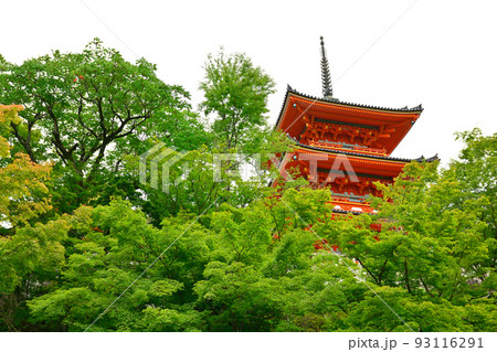 京都・清水寺 93116291