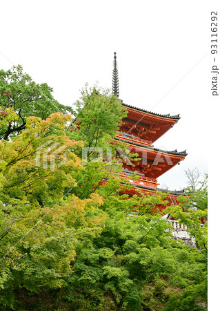 京都・清水寺 93116292