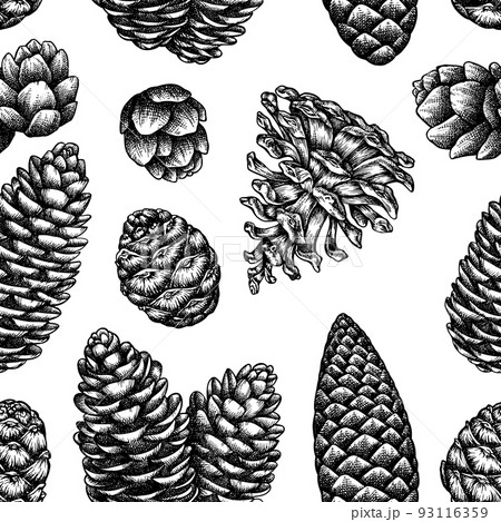 Mysterious forest seamless pattern background design. Engraved style. Hand drawn pine cones. 93116359