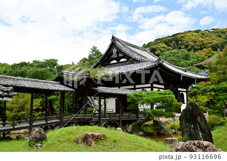 京都・高台寺 京都・高台寺 93116696