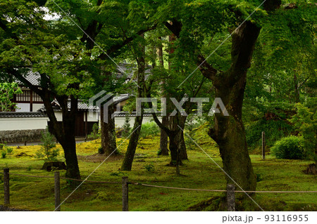 京都・南禅寺 93116955