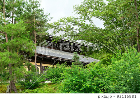 京都・南禅寺 93116981