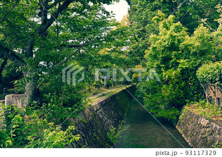 京都・哲学の道 93117329