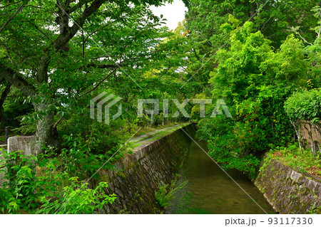 京都・哲学の道 93117330