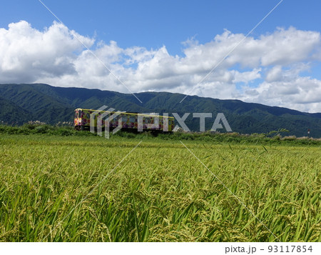 フラワー長井線　秋　稲穂 93117854