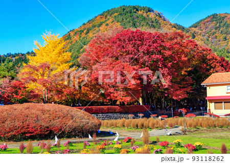 秋の山梨県　もみじ回廊の紅葉 93118262