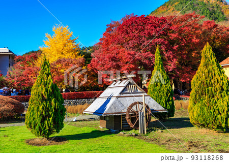 秋の山梨県 もみじ回廊の紅葉 秋の山梨県 もみじ回廊の紅葉 93118268