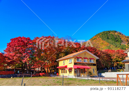 秋の山梨県　もみじ回廊の紅葉 93118277